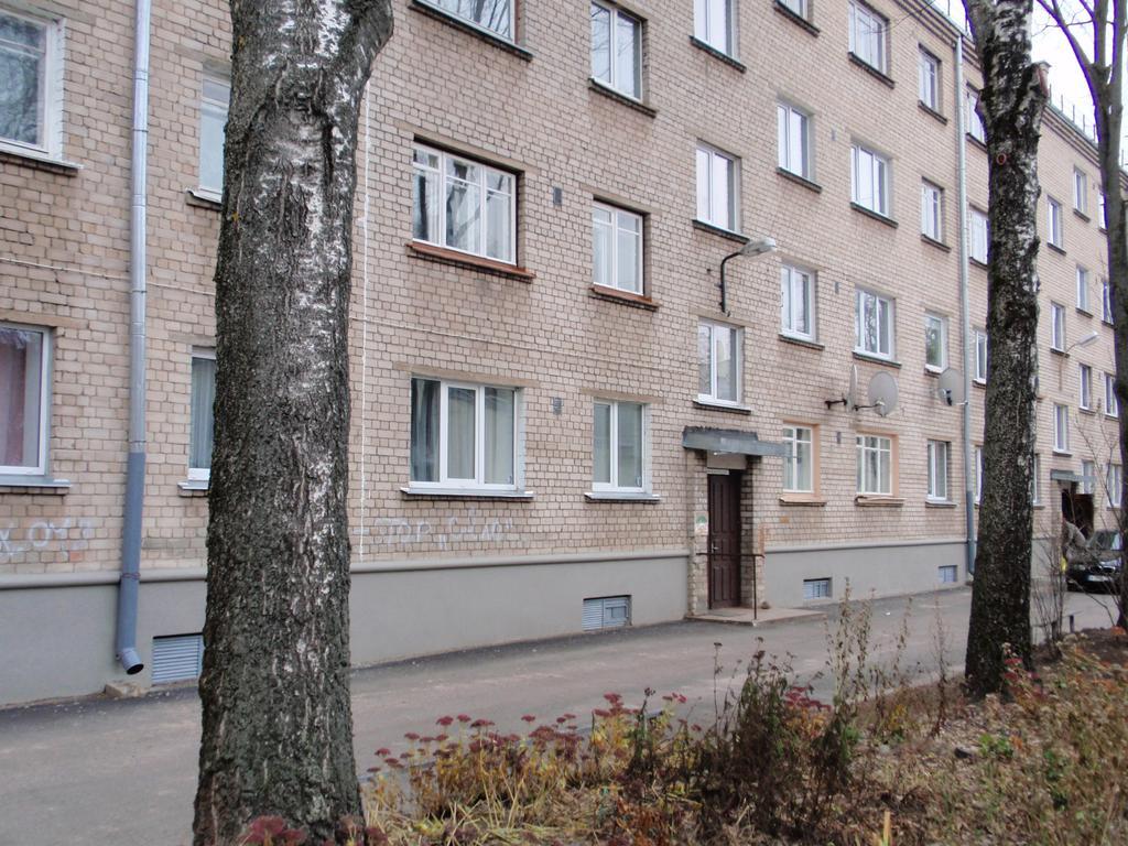 Central Cietoksna Street Apartment ダウガフピルス エクステリア 写真